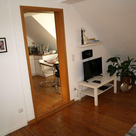 שפייר Ferienwohnung Klatschmohn מראה חיצוני תמונה
