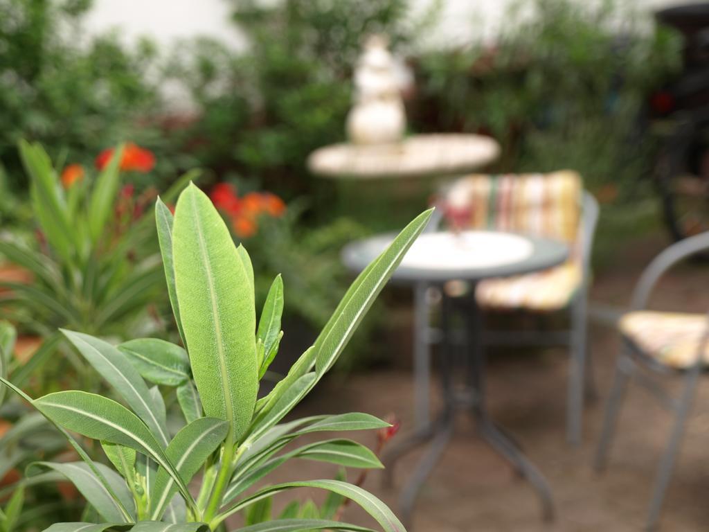 שפייר Ferienwohnung Klatschmohn מראה חיצוני תמונה